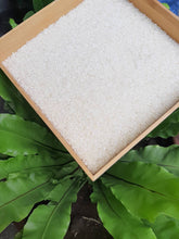 Load image into Gallery viewer, Golden Pearl Sinandomeng